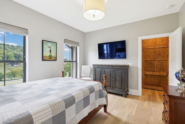 bedroom with light hardwood / wood-style floors