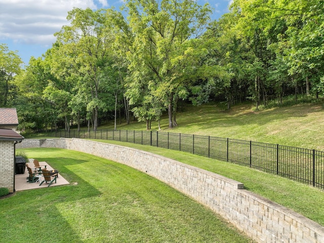 view of yard featuring a patio area