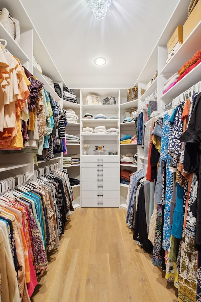 walk in closet with light hardwood / wood-style flooring