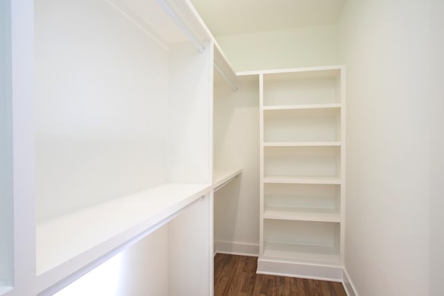 walk in closet with dark hardwood / wood-style flooring