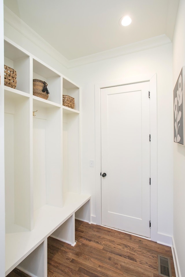 mudroom with crown molding and dark wood-type flooring