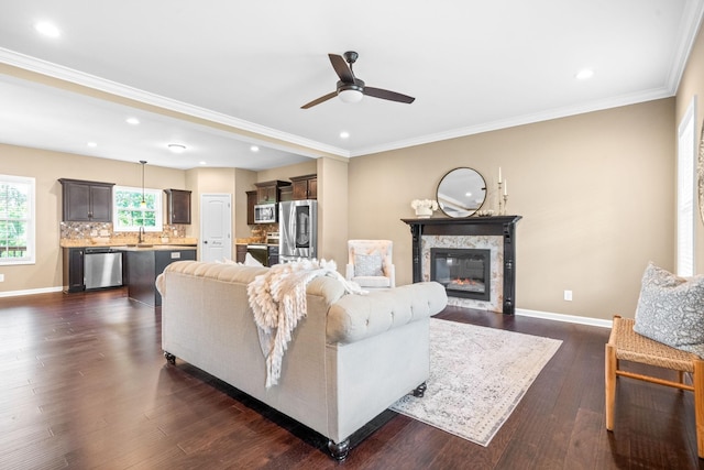 living room featuring dark wood-type flooring, a fireplace, ornamental molding, and ceiling fan