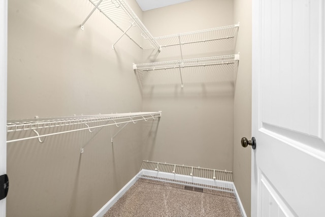 spacious closet with carpet