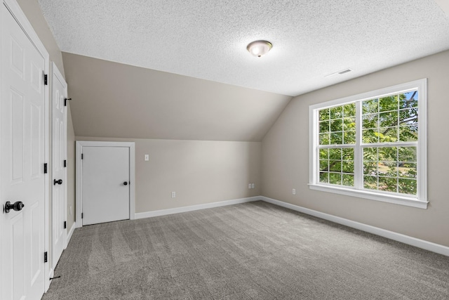 additional living space with lofted ceiling, carpet floors, and a textured ceiling