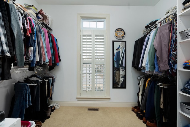 spacious closet with carpet floors