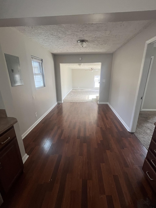 hallway with dark wood-type flooring, electric panel, and a textured ceiling