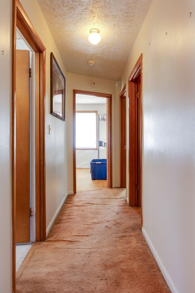 hall featuring light carpet and a textured ceiling