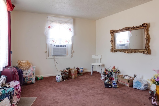 miscellaneous room featuring cooling unit, carpet floors, a wealth of natural light, and a textured ceiling