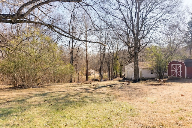 view of yard with a shed