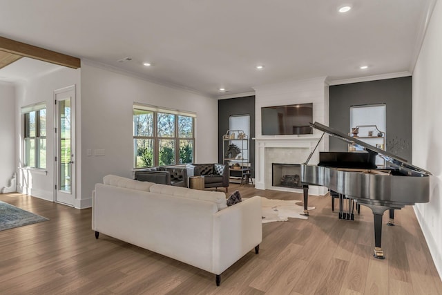 living room featuring a fireplace, ornamental molding, a healthy amount of sunlight, and light wood-type flooring