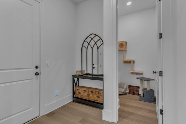 foyer entrance with light hardwood / wood-style floors