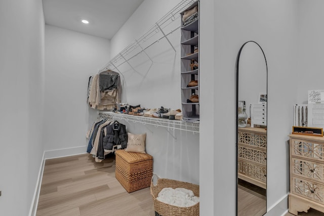 spacious closet with wood-type flooring