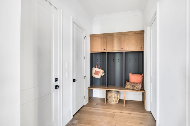 mudroom with ornamental molding and light wood-type flooring