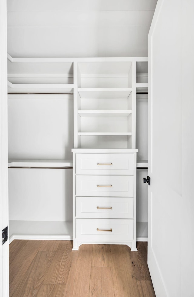 spacious closet with hardwood / wood-style floors