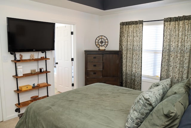 bedroom featuring multiple windows and carpet