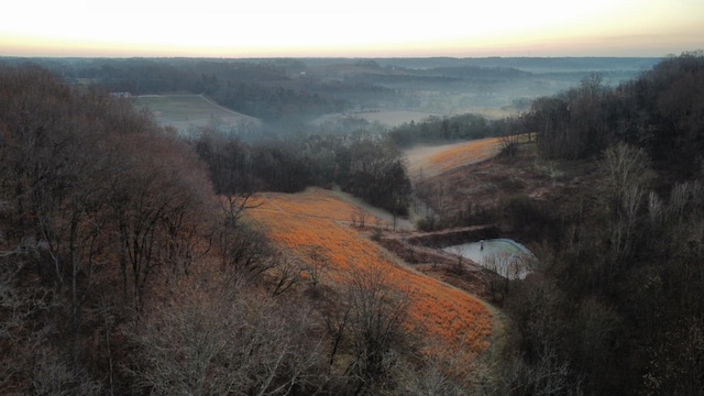 view of aerial view at dusk