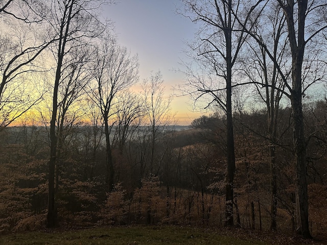 view of nature at dusk