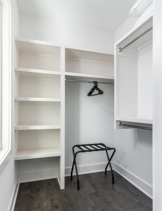 spacious closet featuring dark hardwood / wood-style flooring