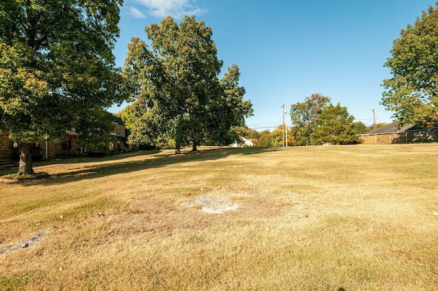 view of yard