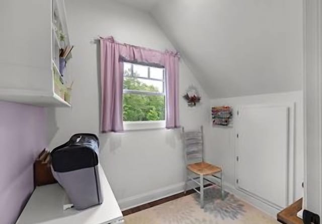 interior space featuring lofted ceiling and wood-type flooring