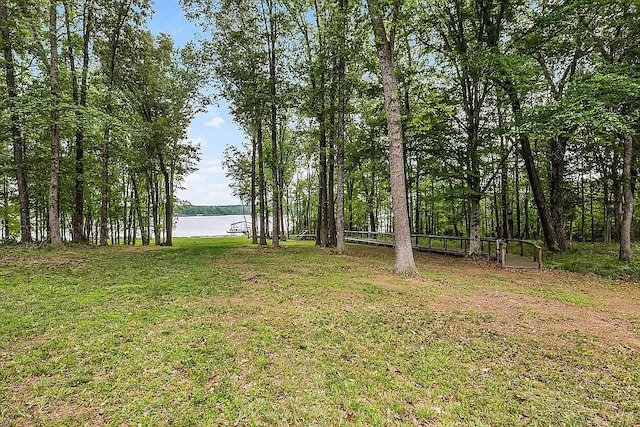 224 Graves Ln, Buchanan, TN 38222 - photo 5