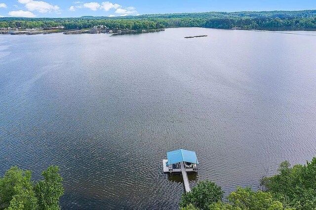 224 Graves Ln, Buchanan, TN 38222 - photo 4