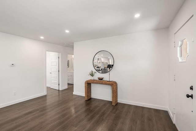 entryway featuring dark hardwood / wood-style flooring