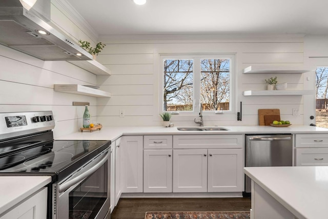 kitchen with appliances with stainless steel finishes, range hood, white cabinetry, sink, and dark hardwood / wood-style flooring