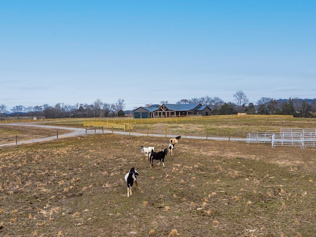 view of yard with a rural view