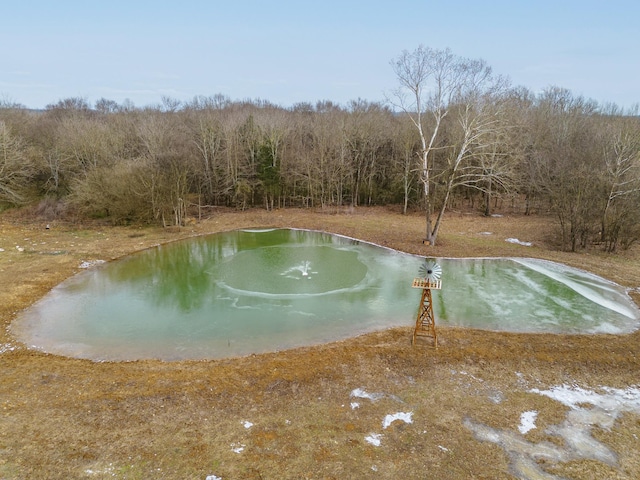 view of pool with a water view