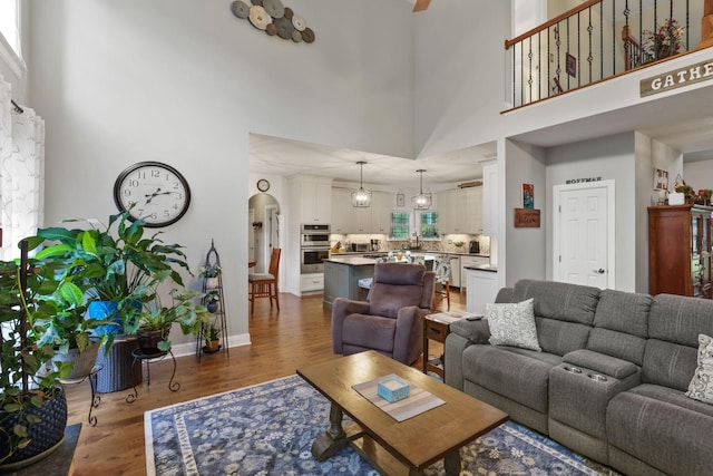 living room featuring dark hardwood / wood-style floors and a high ceiling