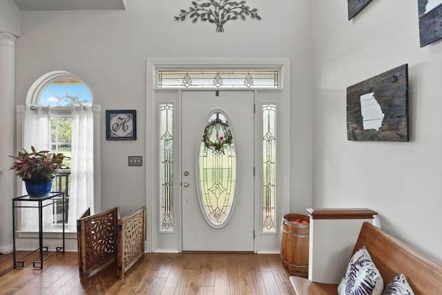 entryway featuring wood-type flooring