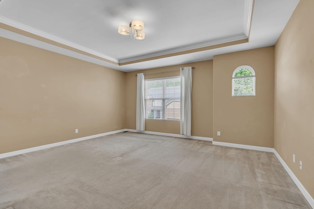 spare room featuring a raised ceiling, plenty of natural light, and light carpet