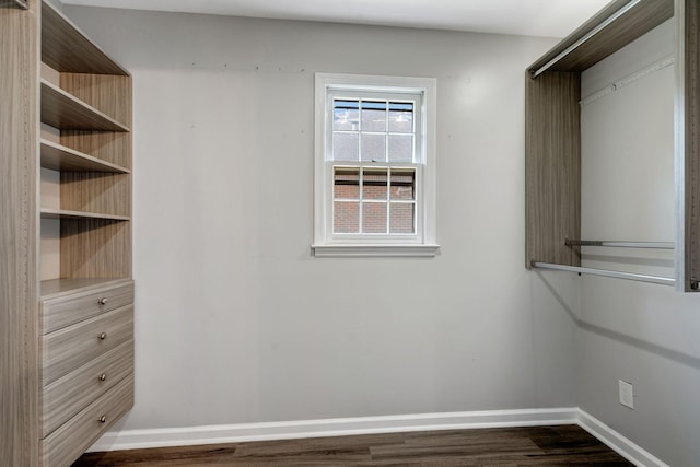 spacious closet featuring dark hardwood / wood-style flooring