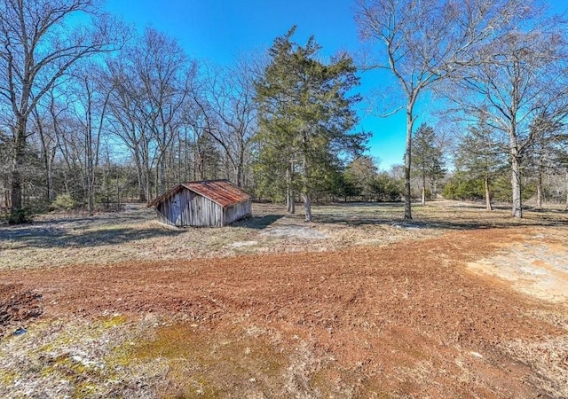 view of yard with a storage unit