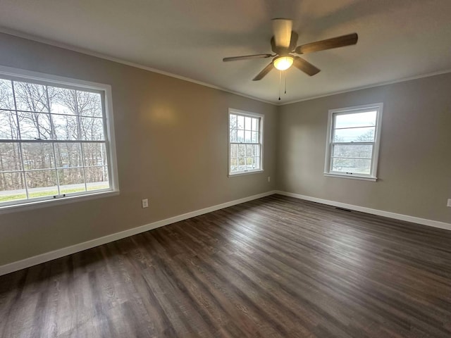 spare room with ornamental molding and plenty of natural light