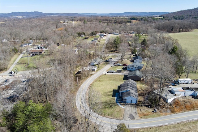 drone / aerial view featuring a mountain view