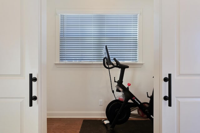 exercise area featuring dark wood-type flooring