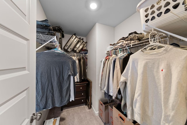 spacious closet with light colored carpet