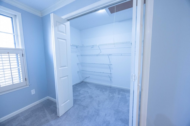 spacious closet featuring carpet flooring