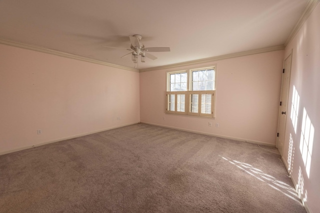 spare room featuring crown molding, ceiling fan, and carpet floors