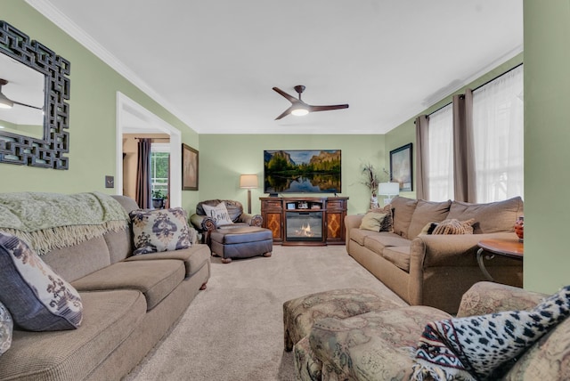 living room featuring ceiling fan, ornamental molding, and carpet floors