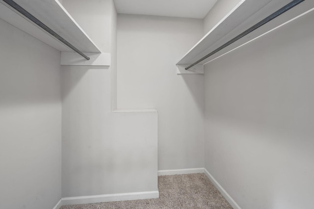 walk in closet with light carpet