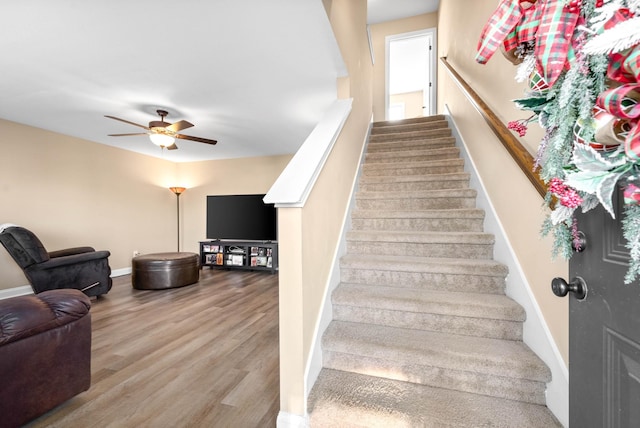 stairs featuring wood-type flooring and ceiling fan