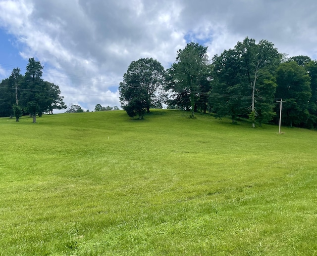 1 Steele Rd, Charlotte, TN 37036 - photo 1
