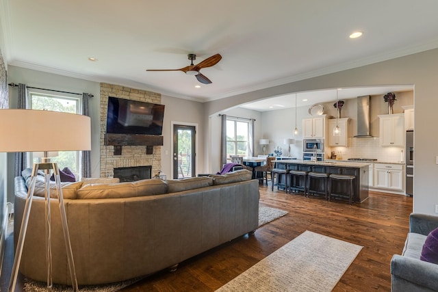 living room featuring a stone fireplace, dark wood-type flooring, ornamental molding, and ceiling fan