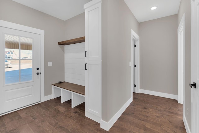 mudroom with dark hardwood / wood-style flooring