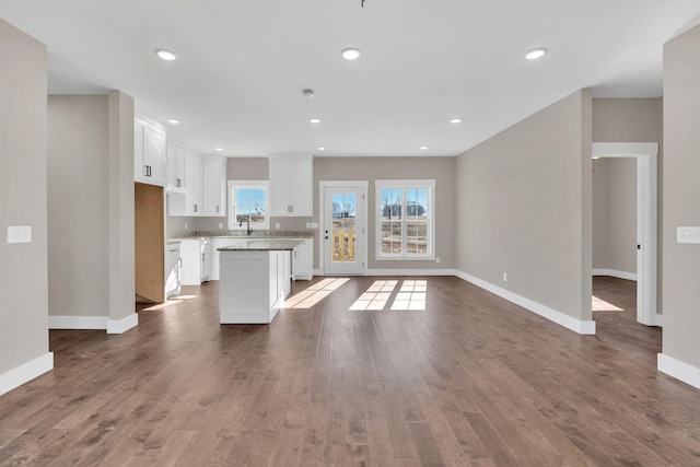 unfurnished living room featuring wood-type flooring and sink