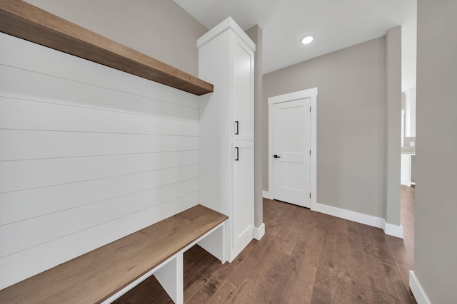 mudroom featuring dark hardwood / wood-style flooring