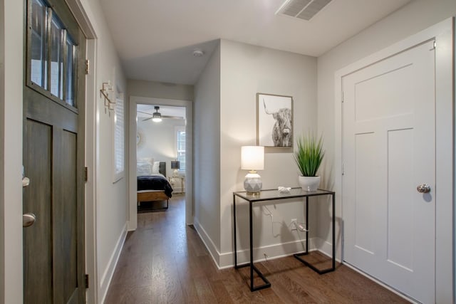 entryway featuring dark hardwood / wood-style flooring